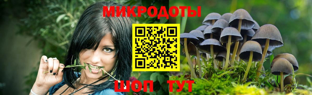 Галлюциногенные грибы MAGIC MUSHROOMS Архангельск